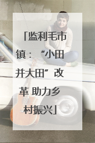 监利毛市镇：“小田并大田”改革 助力乡村振兴