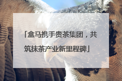 盒马携手贵茶集团，共筑抹茶产业新里程碑