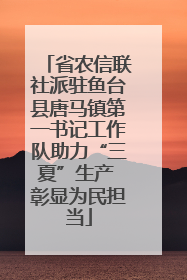 省农信联社派驻鱼台县唐马镇第一书记工作队助力“三夏”生产 彰显为民担当