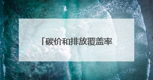 碳价和排放覆盖率双升 全球碳定价收入超千亿美元