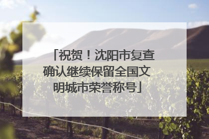 祝贺！沈阳市复查确认继续保留全国文明城市荣誉称号