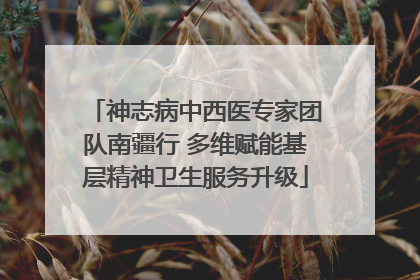 神志病中西医专家团队南疆行 多维赋能基层精神卫生服务升级