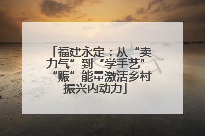 福建永定：从“卖力气”到“学手艺”“赈”能量激活乡村振兴内动力