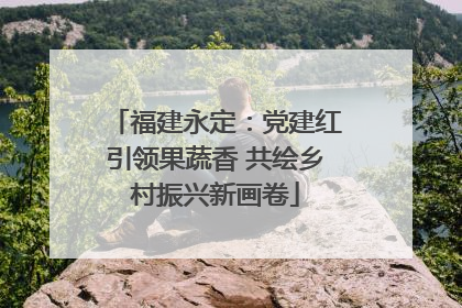 福建永定：党建红引领果蔬香 共绘乡村振兴新画卷