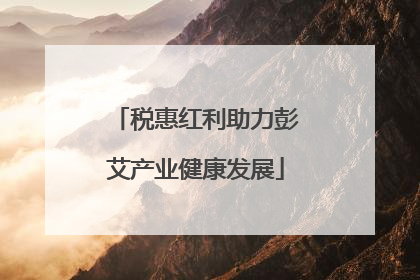 税惠红利助力彭艾产业健康发展