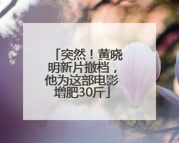 突然！黄晓明新片撤档，他为这部电影增肥30斤