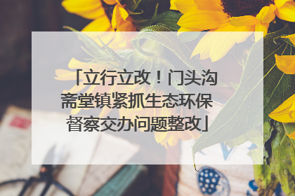 立行立改！门头沟斋堂镇紧抓生态环保督察交办问题整改