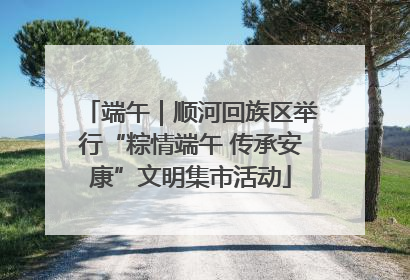 端午｜顺河回族区举行“粽情端午 传承安康”文明集市活动