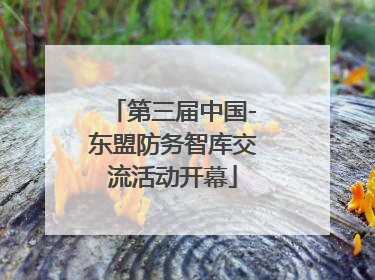 第三届中国-东盟防务智库交流活动开幕