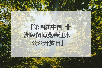 第四届中国-非洲经贸博览会迎来公众开放日