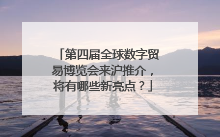 第四届全球数字贸易博览会来沪推介，将有哪些新亮点？
