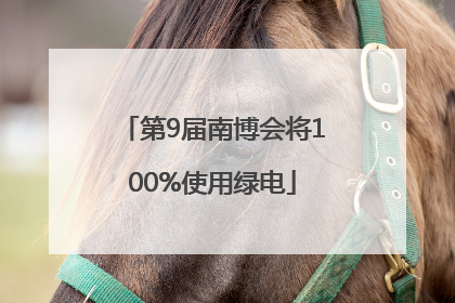 第9届南博会将100%使用绿电