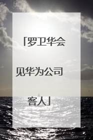 罗卫华会见华为公司客人
