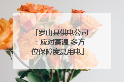 罗山县供电公司：应对高温 多方位保障度夏用电