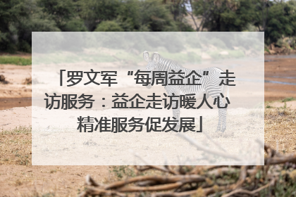 罗文军“每周益企”走访服务：益企走访暖人心 精准服务促发展