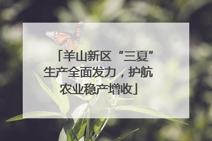 羊山新区“三夏”生产全面发力，护航农业稳产增收