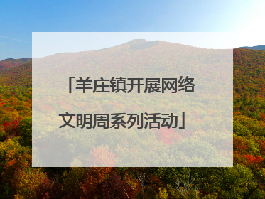 羊庄镇开展网络文明周系列活动