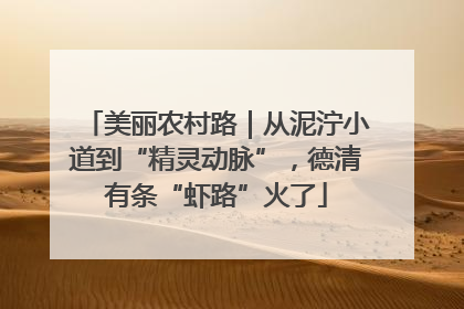美丽农村路｜从泥泞小道到“精灵动脉”，德清有条“虾路”火了