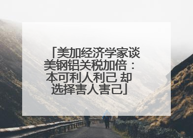 美加经济学家谈美钢铝关税加倍：本可利人利己 却选择害人害己