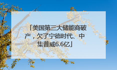 美国第三大储能商破产，欠了宁德时代、中集普威6.6亿