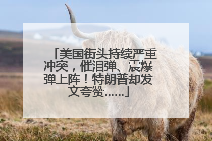 美国街头持续严重冲突，催泪弹、震爆弹上阵！特朗普却发文夸赞……