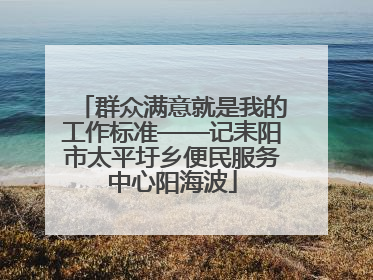 群众满意就是我的工作标准——记耒阳市太平圩乡便民服务中心阳海波