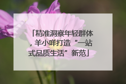精准洞察年轻群体，羊小咩打造“一站式品质生活”新范