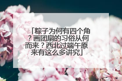 粽子为何有四个角？画团扇的习俗从何而来？西北过端午原来有这么多讲究