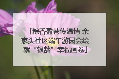 粽香盈巷传温情 余家头社区端午游园会绘就“银龄”幸福画卷