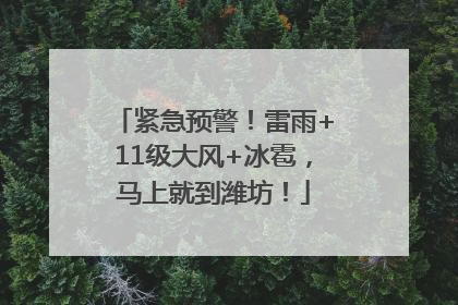 紧急预警！雷雨+11级大风+冰雹，马上就到潍坊！