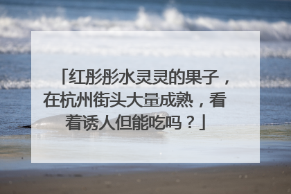 红彤彤水灵灵的果子，在杭州街头大量成熟，看着诱人但能吃吗？