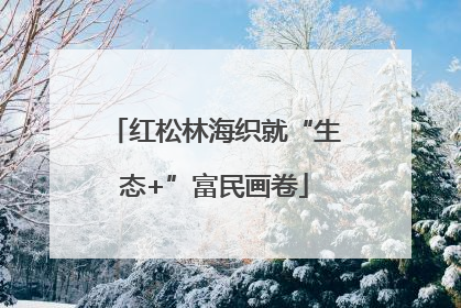 红松林海织就“生态+”富民画卷