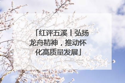 红评五溪丨弘扬龙舟精神，推动怀化高质量发展