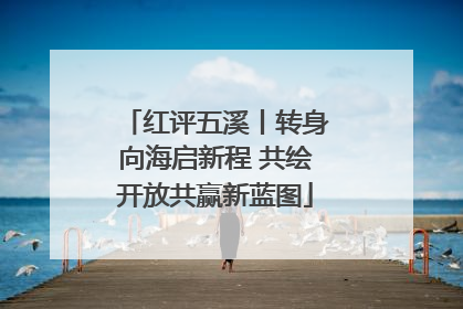 红评五溪丨转身向海启新程 共绘开放共赢新蓝图