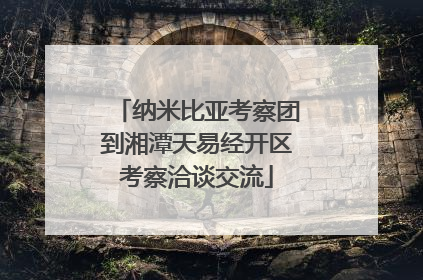 纳米比亚考察团到湘潭天易经开区考察洽谈交流