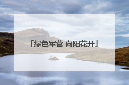 绿色军营 向阳花开