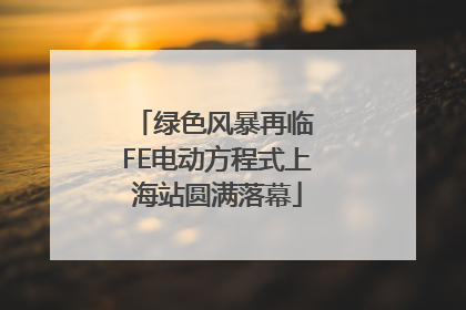 绿色风暴再临 FE电动方程式上海站圆满落幕