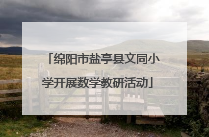 绵阳市盐亭县文同小学开展数学教研活动