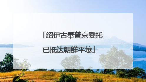 绍伊古奉普京委托已抵达朝鲜平壤