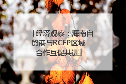 经济观察：海南自贸港与RCEP区域合作互促共进