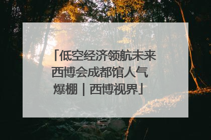 低空经济领航未来 西博会成都馆人气爆棚｜西博视界