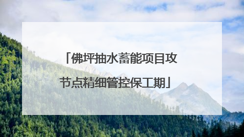 佛坪抽水蓄能项目攻节点精细管控保工期