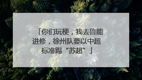 你们玩梗，我去鲁能进修，徐州队要以中超标准踢“苏超”
