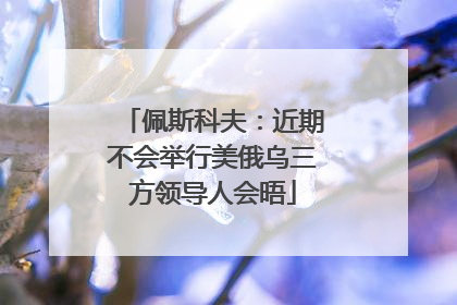 佩斯科夫：近期不会举行美俄乌三方领导人会晤