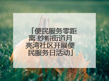 便民服务零距离 纱帽街道月亮湾社区开展便民服务日活动