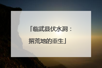 临武县伏水洞：撂荒地的重生
