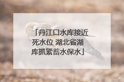 丹江口水库接近死水位 湖北省湖库抓紧蓄水保水