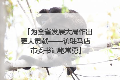 为全省发展大局作出更大贡献——访驻马店市委书记鲍常勇