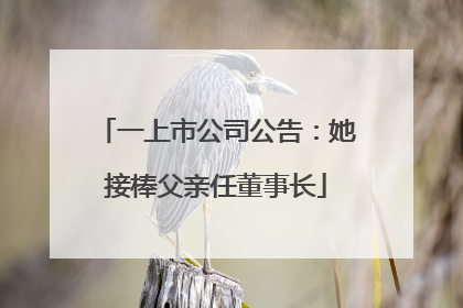 一上市公司公告：她接棒父亲任董事长