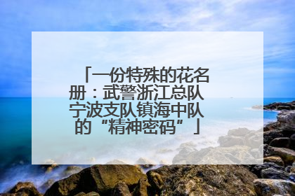 一份特殊的花名册：武警浙江总队宁波支队镇海中队的“精神密码”